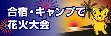 合宿・キャンプで花火大会