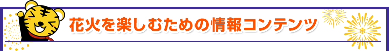 花火をもっと楽しむ為の情報コンテンツ