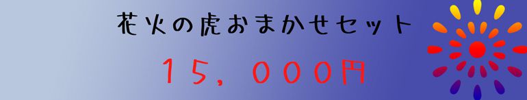 お任せセット