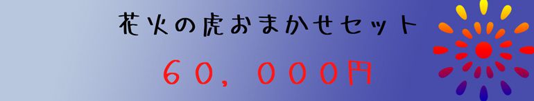 お任せセット